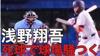 【巨人】浅野翔吾大丈夫か？死球で球場騒つく！