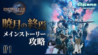 【FF14/顔出し】暁月の終焉スタート！書記の終わりが始まるッ！！【FINAL FANTASY XIV /ファイナルファンタジー14】