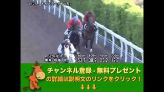 【 マイラーズカップ（GII）追い切り調教】 ネオスターダム、３連勝で本格化！マイルの新星へ池添と初タッグ 「競馬レース結果ハイライト」2016年