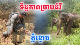 ទិដ្ឋភាព​ច្រាបដំរីពីលេីអាកាស​ នៅលេីភ្នំខ្មោច