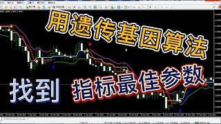 如何用遗传基因算法算出最佳指标参数？