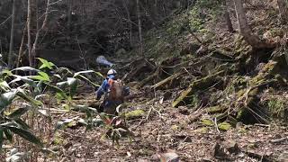 北の細道 鉱山跡探検 通洞坑