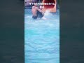 0006 夏日水上娱乐 水上主题公园 水上娱乐胜地 water park videos summer water fun water theme park pool fun