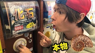 化石ガチャ☆本物が当たるヤバすぎ!!　PDS