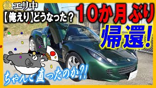 【俺のえり】皆さんありがとう!!10か月ぶり!ついに帰還!!ちゃんと直ってるよな?! 20250209 エリ中 エリーゼオンライン中学校