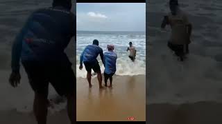 கடற்கரையில் விறுவிறுப்பு! Exciting Catch of a Giant Stingray - Thrilling Moment at the Beach!