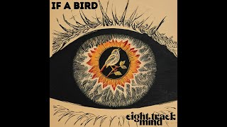 Eight Track Mind - If A Bird (Lyric Video)