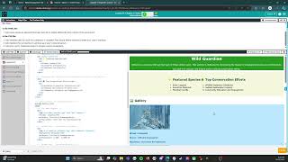 Code.org - CS Discoveries - Unit 2: Web Development - Lesson 14: Level 1: Jamila's Web Page