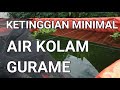 KETINGGIAN MINIMAL AIR KOLAM IKAN GURAME - BUDIDAYA IKAN GURAME