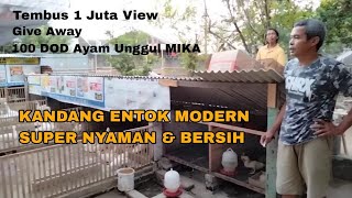 Kandang Entok Modern!! Owner Bapak Asnawi di BLITAR KOTA!!!!