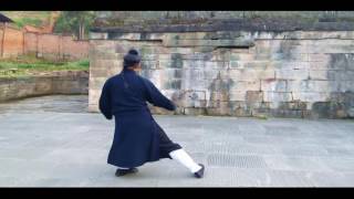 Wu Dang Tai Yi Wu Xing Quan 武当太乙五行拳 Master Xu Wei Han