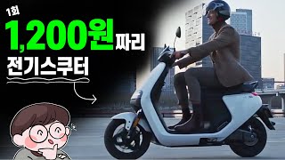 나인봇 e125 공유 전동스쿠터로 등장 | 이제 스쿠터 안사도 됨 | 반전주의 ninebot E moped