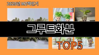 그루트화분 없으면 안되는 알리익스프레스추천템 BEST 10