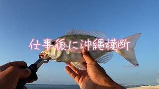 仕事後でも魚が釣りたい！#沖縄ルアー釣り #沖縄ライトゲーム #釣り #沖縄