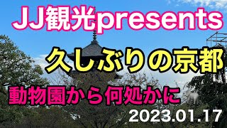 JJ観光presents 久しぶりの京都😃動物園から何処かに2023.01.17【JJ】