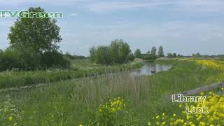 CameraTalk: Rewilding Nature - Wageningen The Netherlands