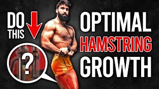 What are the BEST HAMSTRING Exercises? (Science-Based)