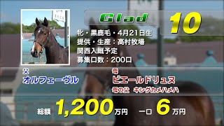 Glad10(牝1歳  オルフェーヴルxピエールドリュヌ)の2024年1歳馬募集の募集動画【2024年5月末～6月上旬撮影】＜立ち/歩様/生産者インタビュー/放牧風景＞