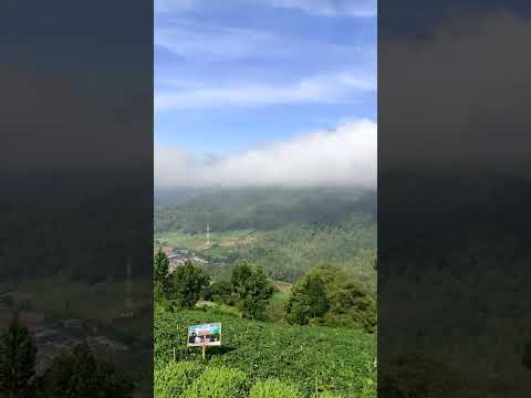 INDAHNYA PUNCAK BRAKSENG, NEGERI DI ATAS AWAN | BATU, MALANG - YouTube