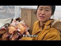 黑龙江林区突降大雪，零下20度，看看东北人如何冻大鹅