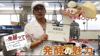 日本獣医生命科学大学 Webオープンキャンパス  食品科学科 体験実習「発酵の魅力　チーズ編」