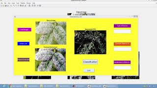 Grape leaf disease using MATLAB