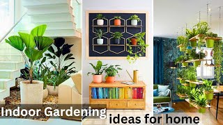 Indoor gardening ideas for home |Small Space Indoor Garden #garden#gardening#plants  #ashgardenideas