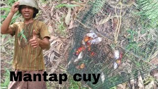 Memasang dan memeriksa bubu di bekas galian pengecekan batu bara, mantap guys!!!