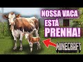 A NOSSA VACA ESTÁ PRENHA! episódio 12 minecraft história ROLEPLAY