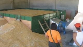 BIOLEXIS Flat Bed Paddy Dryer with Rice Hull Furnace for Rice/Corn