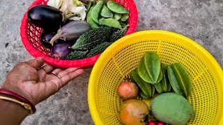 ছাদবাগানে  শাকসবজি | বাড়ির ছাদেই তাজা তাজা সবজি | Vegetable Harvesting