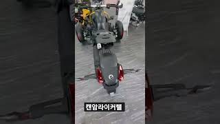 2022년 신형 캔암라이커 랠리