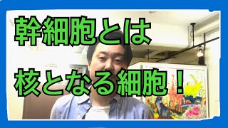 【ヒト幹細胞培養液について】育毛発毛講師が教える　幹細胞って何？　８４