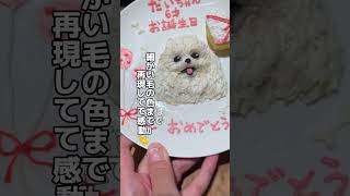 そっくりすぎるワンちゃんの似顔絵ケーキ（6才のお誕生日会） #犬 #誕生日ケーキ #shorts