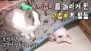 🐰아픈 줄 알고 병원까지 갔어요..머쓱///🐱