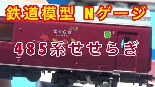 『鉄道模型 Nゲージ』485系せせらぎ