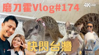 磨刀霍Vlog#174｜快閃台灣｜行程滿滿的四天