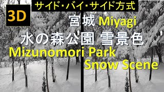 【3D SBS】宮城 水の森公園 雪景色 Mizunomori Park Snow Scene