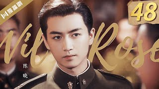 MULTISUB【FULL】EP48 Wild Rose红蔷薇（Chen Xiao, Yang Zishan）#陈晓 #谍战 #特工