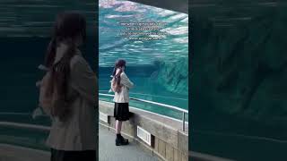 norafawn on TikTok #fypシ゚viral