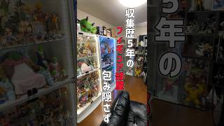 収集歴5年のフィギュア部屋のリアル　#ドラゴンボール #1番くじ #dragonball #一番くじ #shorts #shortvideo #short