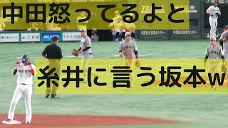 坂本のコミュ力が高くておもしろい！岡本申告敬遠で「中田怒ってるよ」と糸井に知らせるw 2022.4.2