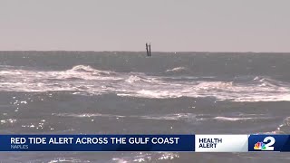 Red tide spreads across Collier beaches, health officials urge caution