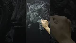 黑板粉筆畫 ｜ 動物畫｜野狼｜Chalkboard drawing #sketching #art #drawing #chalkart #drawingtutorial #blackboard