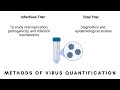 Virus Quantification: Infectious vs. Total Titers