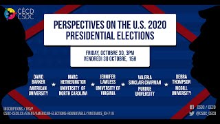 Perspectives on the U.S. 2020 Presidential Election