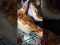 grilled quail in thailand thai street food