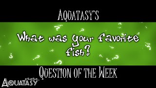 Aquatasy - Question of the Week - What Was Your Favorite Fish?