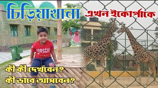 ইকোপার্কে চিড়িয়াখানা।।হরিণালয়।।Deer Park at New Town।।Eco Park।।Mini Zoo at New Town।।