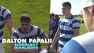 Dalton Papalii truly led from the front when he played schoolboy rugby | Rugby Highlights